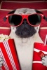 Pug Dog at the Movies Journal - 150 Page Lined Notebook/Diary (Paperback) - Cool Image Photo