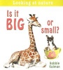 Is it Big or Small? (Paperback) - Bobbie Kalman Photo