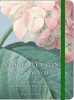 A Portable Latin for Gardeners - More Than 1,500 Essential Plant Names and the Secrets They Contain (Paperback) - James Armitage Photo