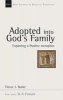 Adopted into God's Family - Exploring a Pauline Metaphor (Paperback) - Trevor J Burke Photo