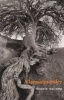 Vlamsalmander (Afrikaans, Paperback) - Hennie Aucamp Photo