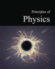 Principles of Physics (Hardcover) - Salem Press Photo