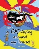 There's a Cat Flying Around My House! (Paperback) - Jina Sahm Photo