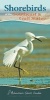 Shorebirds of the Southeast & Gulf States (Spiral bound) - Stan Tekiela Photo