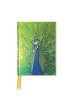 Peacock in Blue and Green (Foiled Pocket Journal) (Notebook / blank book) - Flame Tree Photo