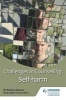 Challenges in Counselling: Self-harm (Paperback) - Andrew Reeves Photo