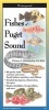 Fishes of Puget Sound (Poster) - Val Kells Photo