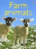 Farm Animals (Hardcover, New edition) - Katie Daynes Photo