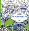 The Colors of Creation Adult Coloring Book (Paperback) - Faith Passio Photo