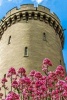 Arundel Castle Tower in England with Beautiful Flowers - Blank 150 Page Lined Journal for Your Thoughts, Ideas, and Inspiration (Paperback) - Unique Journal Photo