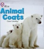 Animal Coats - Band 02a/Red A (Paperback) - Claire Llewellyn Photo