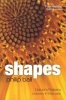 Shapes - Nature's Patterns: A Tapestry in Three Parts (Paperback) - Philip Ball Photo