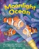 Moonlight Ocean (Hardcover) - Elizabeth Golding Photo