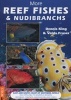 More Reef Fishes & Nudibranchs - East and South Coast of Southern Africa (Paperback) - Dennis King Photo