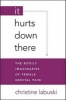 It Hurts Down There - The Bodily Imaginaries of Female Genital Pain (Paperback) - Christine Labuski Photo