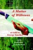 A Matter of Willowes - Problems in Deduction (Paperback) - MR George J Sanchez Photo