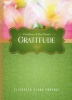 Gratitude (Paperback) - Elizabeth Clare Prophet Photo