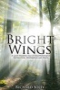 Bright Wings - A Light-Hearted Tale of Disappointment, Destruction, Desperation and Death (Hardcover) - Richard Solly Photo