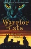 The Darkest Hour (Warrior Cats, Book 6) (Paperback) - Erin Hunter Photo