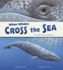 When Whales Cross the Sea - The Gray Whale Migration (Hardcover) - Sharon Katz Cooper Photo