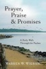 Prayer, Praise & Promises - A Daily Walk Through the Psalms (Paperback) - Warren W Wiersbe Photo