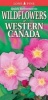 Quick Reference to Wildflowers of Western Canada (Fold-out book or chart) - Krista Kagume Photo