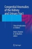 Congenital Anomalies of the Kidney and Urinary Tract 2016 - Clinical Implications in Children (Paperback, 1st ed. 2016) - Amin J Barakat Photo