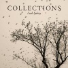 Collections - Birds, Bones and Butterflies (Hardcover) - Leah Sobsey Photo