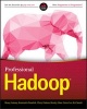 Professional Hadoop (Paperback) - Benoy Anthony Photo