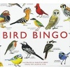 Bird Bingo (Pamphlet) - Christine Berrie Photo