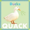 Ducks Quack (Board book) - Rebecca Stromstad Glaser Photo