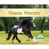 Gypsy Horses (Hardcover) - Grace Hansen Photo