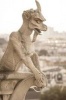 Cool Gargoyle on Notre Dame Cathedral in Paris France Journal - 150 Page Lined Notebook/Diary (Paperback) - Cs Creations Photo