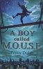 A Boy Called Mouse (Paperback) - Penny Dolan Photo