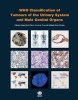 Pathology and Genetics of Tumours of the Urinary System and Male Genital Organs (Paperback, 4th Revised edition) - International Agency for Research on Cancer Photo