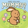 Are You My Mommy? (Board book) - Joyce Wan Photo