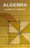 Algebra (Paperback, New edition) - Larry C Grove Photo