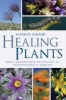 Healing Plants - Herbal Remedies from Traditional to Anthroposophical Medicine (Paperback) - Markus Sommer Photo