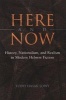 Here and Now - History, Nationalism, and Realism in Modern Hebrew Fiction (Hardcover) - Todd Hasak Lowy Photo