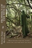 Prophecy of the Witch (Paperback) - Brionna Paige McClendon Photo