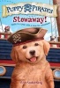 Puppy Pirates #1 - Stowaway! (Paperback) - Erin Soderberg Photo