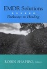 EMDR Solutions - Pathways to Healing (Hardcover, New) - Robin Shapiro Photo