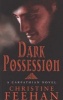 Dark Possession (Paperback) - Christine Feehan Photo