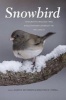 Snowbird - Integrative Biology and Evolutionary Diversity in the Junco (Hardcover) - Ellen Ketterson Photo