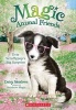 Evie Scruffypup's Big Surprise (Magic Animal Friends #10) (Paperback) - Daisy Meadows Photo