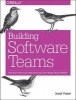 Building Software Teams - Ten Best Practices for Effective Software Development (Paperback) - Joost Visser Photo