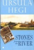 Stones from the River - A Noval (Paperback, Reissue) - Ursula Hegi Photo