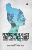 Practising Feminist Political Ecologies - Moving Beyond the 'Green Economy' (Paperback) - Wendy Harcourt Photo