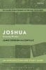 Joshua: An Introduction and Study Guide - Crossing Divides (Paperback) - James Gordon McConville Photo