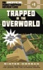 Trapped in the Overworld (Paperback) - Winter Morgan Photo